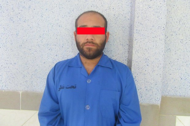 کراپ‌شده - سارق خودرو 